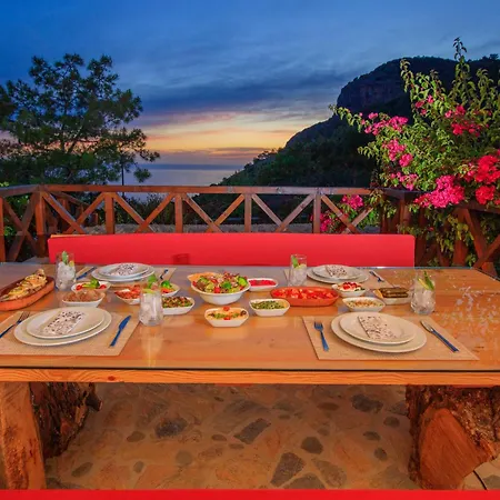 别墅 The Private Bays & Islands Of Turkey 费特希耶